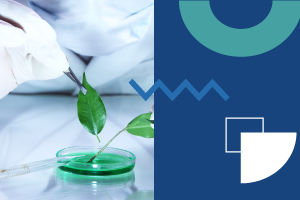 FICB_FUNDAMENTOS DE BIOLOGÍA_MAESTRA