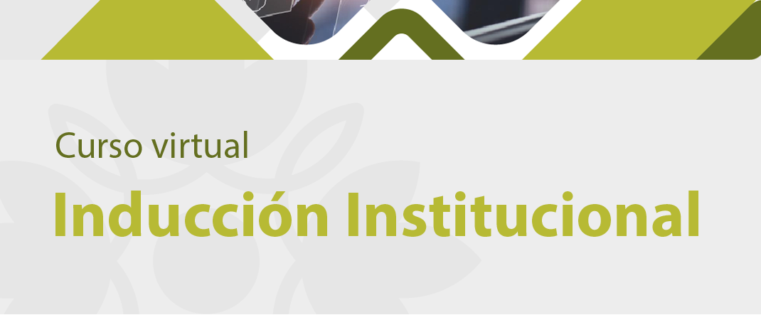 INDUCCIÓN INSTITUCIONAL (VIRTUAL) MAESTRA
